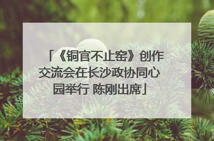 《铜官不止窑》创作交流会在长沙政协同心园举行 陈刚出席