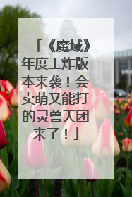 《魔域》年度王炸版本来袭！会卖萌又能打的灵兽天团来了！