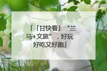 「甘快看」“兰马+文旅”，好玩好吃又好跑