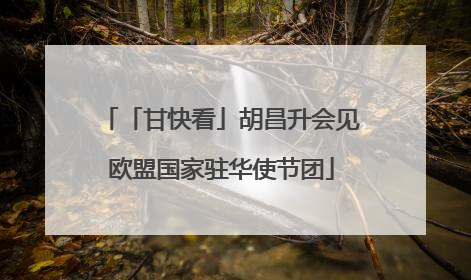 「甘快看」胡昌升会见欧盟国家驻华使节团