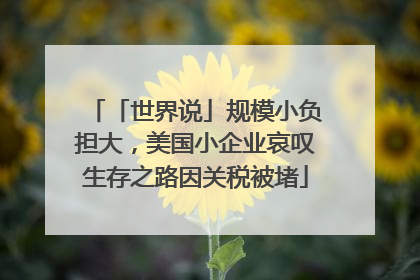 「世界说」规模小负担大，美国小企业哀叹生存之路因关税被堵