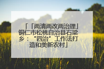「两清两改两治理」铜仁市松桃自治县石梁乡：“四治”工作法打造和美新农村