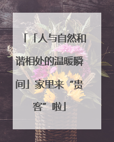 「人与自然和谐相处的温暖瞬间」家里来“贵客”啦
