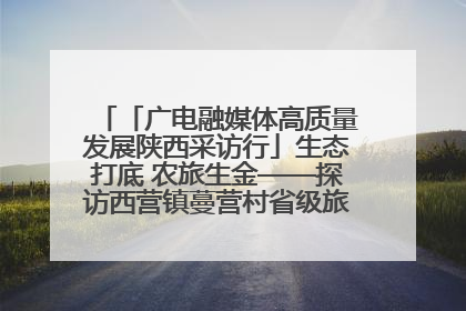 「广电融媒体高质量发展陕西采访行」生态打底 农旅生金——探访西营镇蔓营村省级旅游示范村的振兴密码