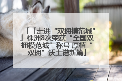 「走进“双拥模范城”」株洲8次荣获“全国双拥模范城”称号 厚植“双拥”沃土谱新篇