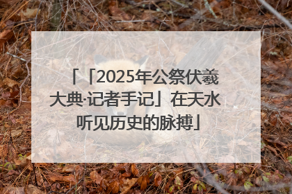「2025年公祭伏羲大典·记者手记」在天水 听见历史的脉搏