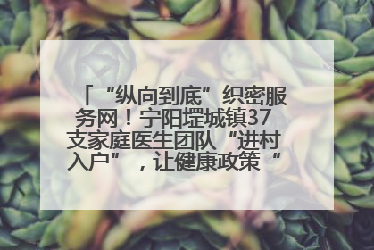 “纵向到底”织密服务网！宁阳堽城镇37支家庭医生团队“进村入户”，让健康政策“落地生根”