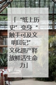 “纸上历史”变身“触手可及文明印记” 文化遗产释放鲜活生命力