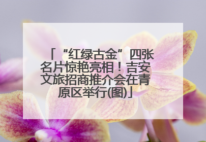 “红绿古金”四张名片惊艳亮相！吉安文旅招商推介会在青原区举行(图)