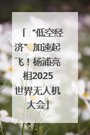“低空经济”加速起飞！杨浦亮相2025世界无人机大会