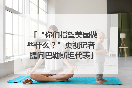 “你们指望美国做些什么？”央视记者提问巴勒斯坦代表