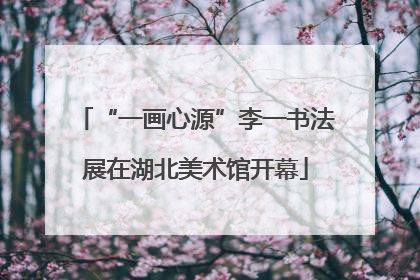 “一画心源”李一书法展在湖北美术馆开幕