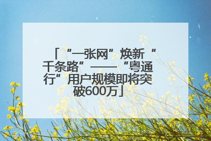 “一张网”焕新“千条路”——“粤通行”用户规模即将突破600万