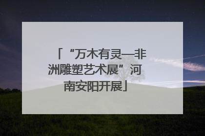 “万木有灵—非洲雕塑艺术展”河南安阳开展