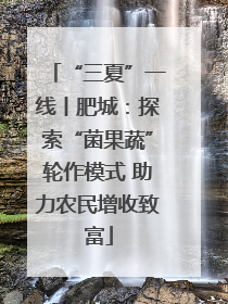 “三夏”一线丨肥城：探索“菌果蔬”轮作模式 助力农民增收致富