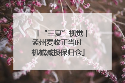 “三夏”视觉｜孟州麦收正当时 机械减损保归仓