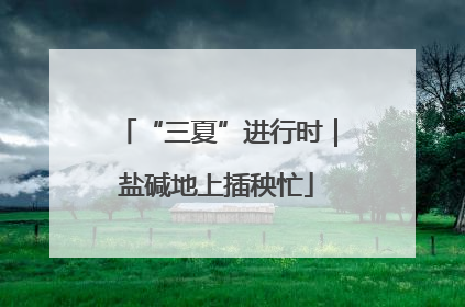 “三夏”进行时｜盐碱地上插秧忙