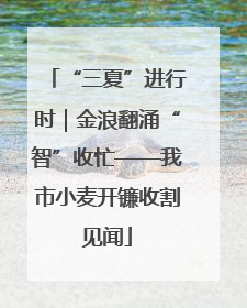 “三夏”进行时｜金浪翻涌“智”收忙——我市小麦开镰收割见闻