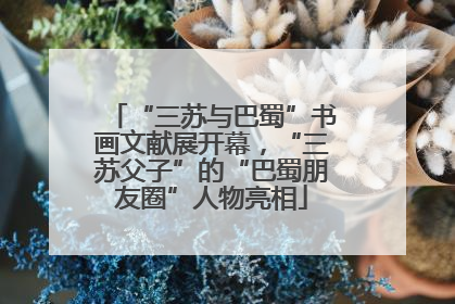“三苏与巴蜀”书画文献展开幕，“三苏父子”的“巴蜀朋友圈”人物亮相