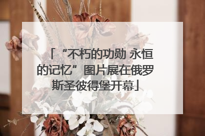 “不朽的功勋 永恒的记忆”图片展在俄罗斯圣彼得堡开幕