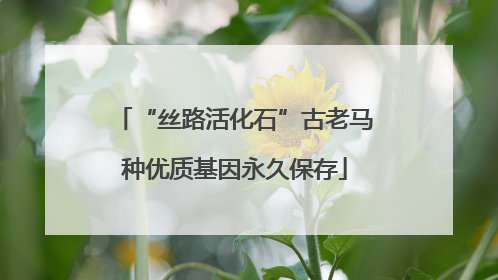 “丝路活化石”古老马种优质基因永久保存
