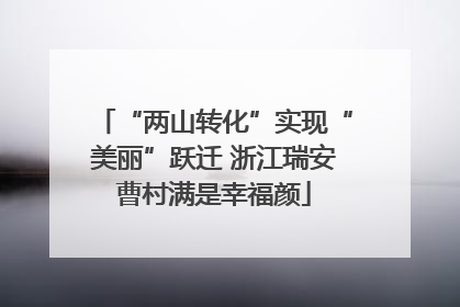 “两山转化”实现“美丽”跃迁 浙江瑞安曹村满是幸福颜