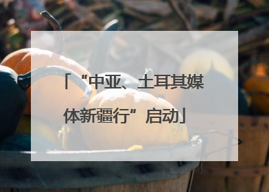 “中亚、土耳其媒体新疆行”启动