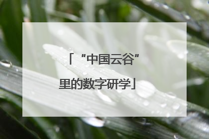 “中国云谷”里的数字研学