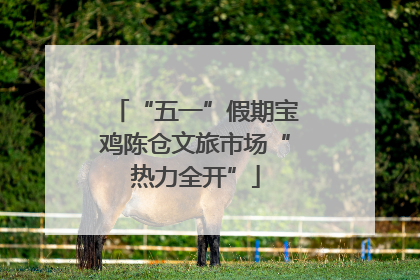 “五一”假期宝鸡陈仓文旅市场“热力全开”