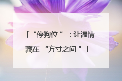 “停狗位 ”：让温情藏在 “方寸之间 ”