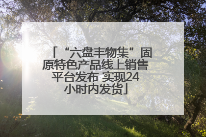 “六盘丰物集”固原特色产品线上销售平台发布 实现24小时内发货