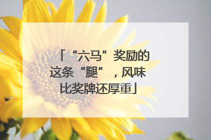 “六马”奖励的这条“腿”，风味比奖牌还厚重