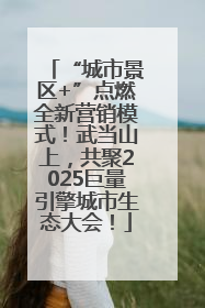 “城市景区+”点燃全新营销模式！武当山上，共聚2025巨量引擎城市生态大会！