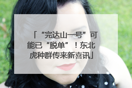 “完达山一号”可能已“脱单”！东北虎种群传来新喜讯