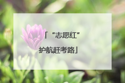 “志愿红”护航赶考路