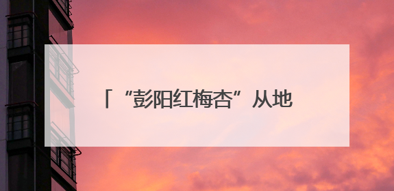 “彭阳红梅杏”从地标到金标的品牌蜕变