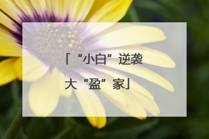 “小白”逆袭大“盈”家