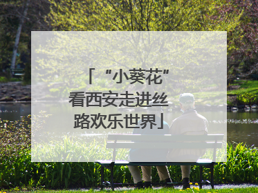“小葵花”看西安走进丝路欢乐世界