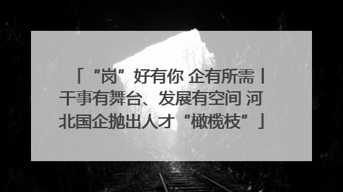 “岗”好有你 企有所需丨干事有舞台、发展有空间 河北国企抛出人才“橄榄枝”