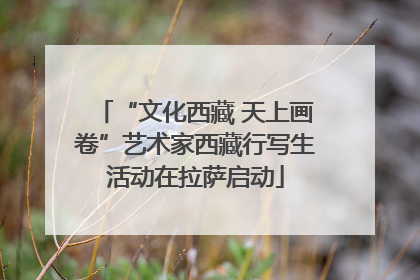“文化西藏 天上画卷”艺术家西藏行写生活动在拉萨启动