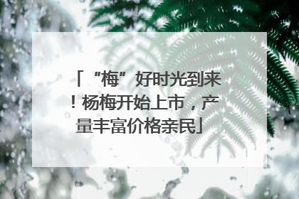 “梅”好时光到来！杨梅开始上市，产量丰富价格亲民