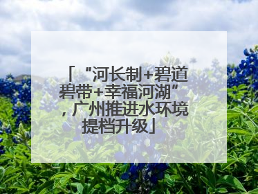 “河长制+碧道碧带+幸福河湖”，广州推进水环境提档升级
