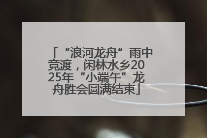 “浪河龙舟”雨中竞渡，闲林水乡2025年“小端午”龙舟胜会圆满结束