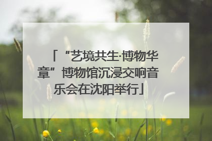 “艺境共生·博物华章”博物馆沉浸交响音乐会在沈阳举行