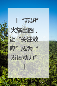 “苏超”火爆出圈，让“关注效应”成为“发展动力”