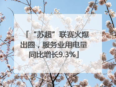 “苏超”联赛火爆出圈，服务业用电量同比增长9.3%