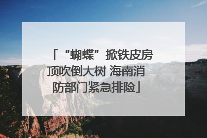 “蝴蝶”掀铁皮房顶吹倒大树 海南消防部门紧急排险