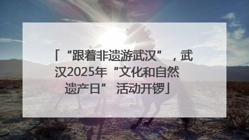 “跟着非遗游武汉”，武汉2025年“文化和自然遗产日” 活动开锣