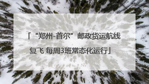 “郑州-首尔”邮政货运航线复飞 每周3班常态化运行
