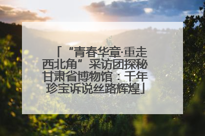 “青春华章·重走西北角”采访团探秘甘肃省博物馆：千年珍宝诉说丝路辉煌